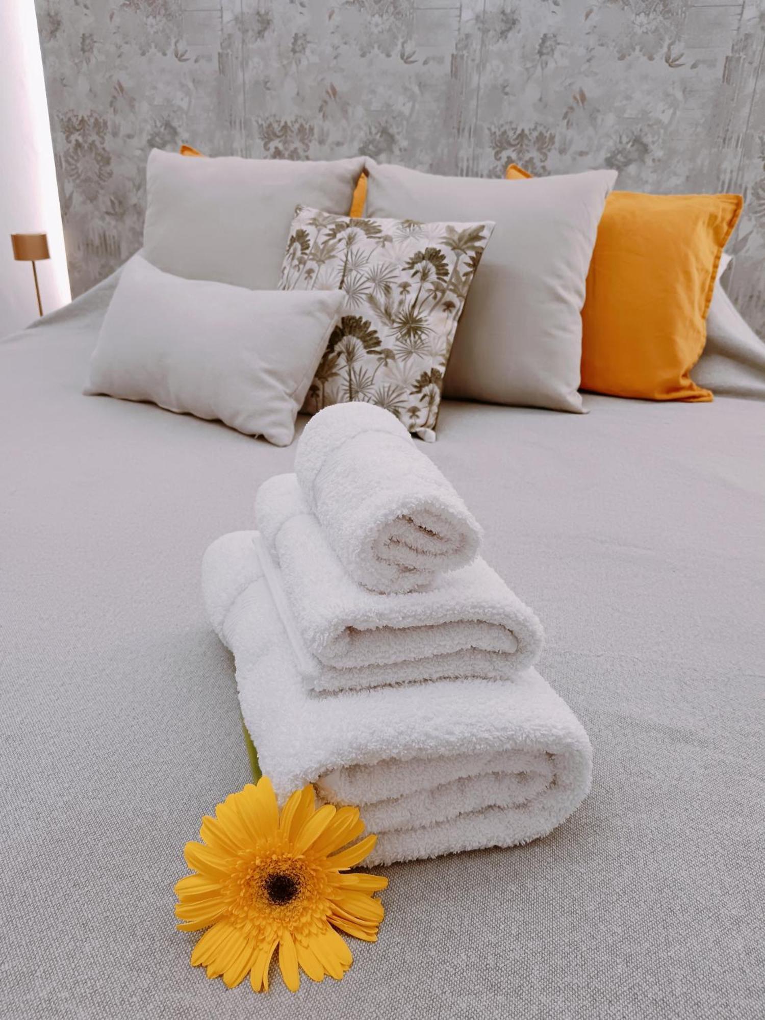 Casa Petri Home Spa パレルモ エクステリア 写真