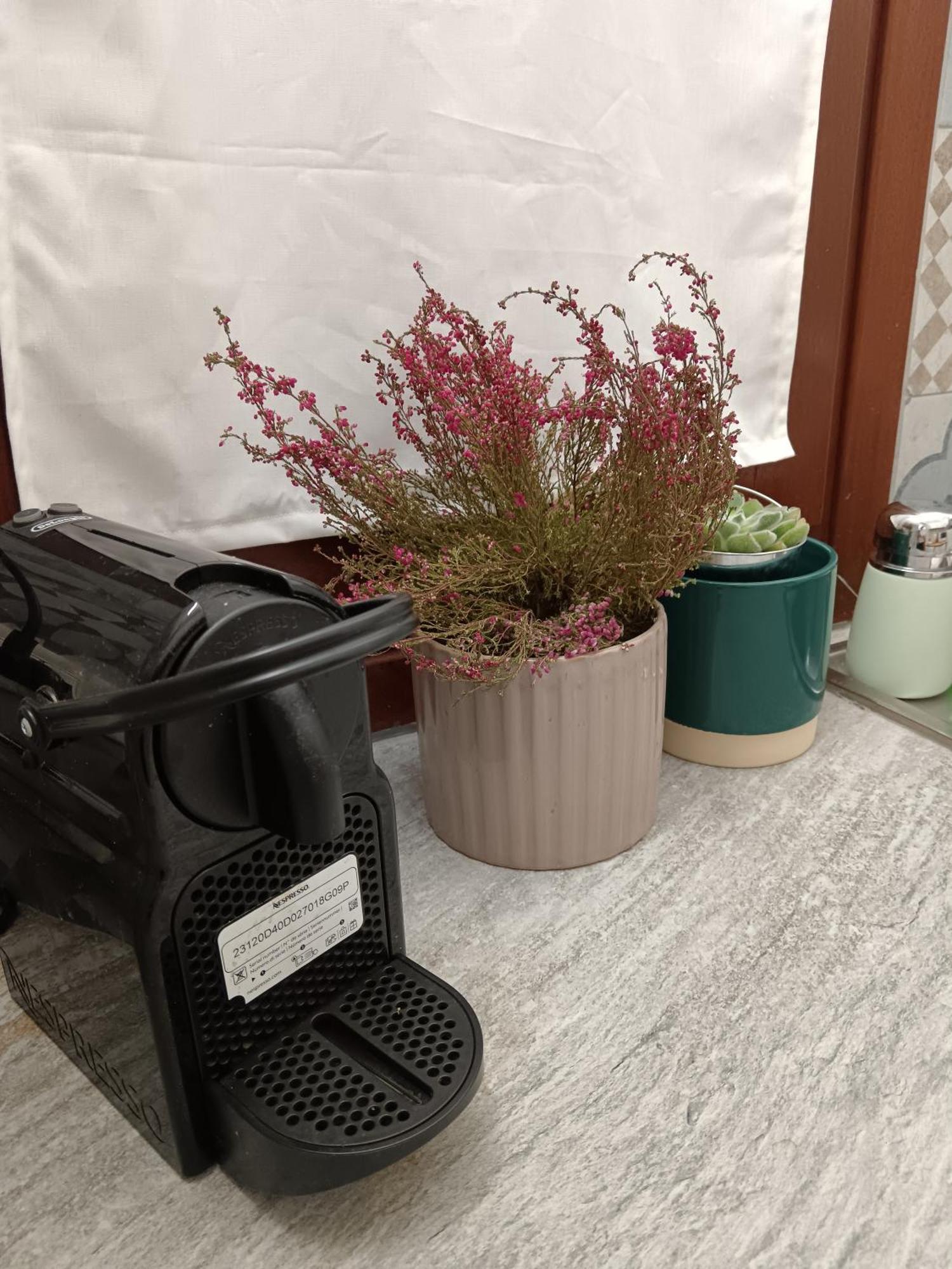 Casa Petri Home Spa パレルモ エクステリア 写真
